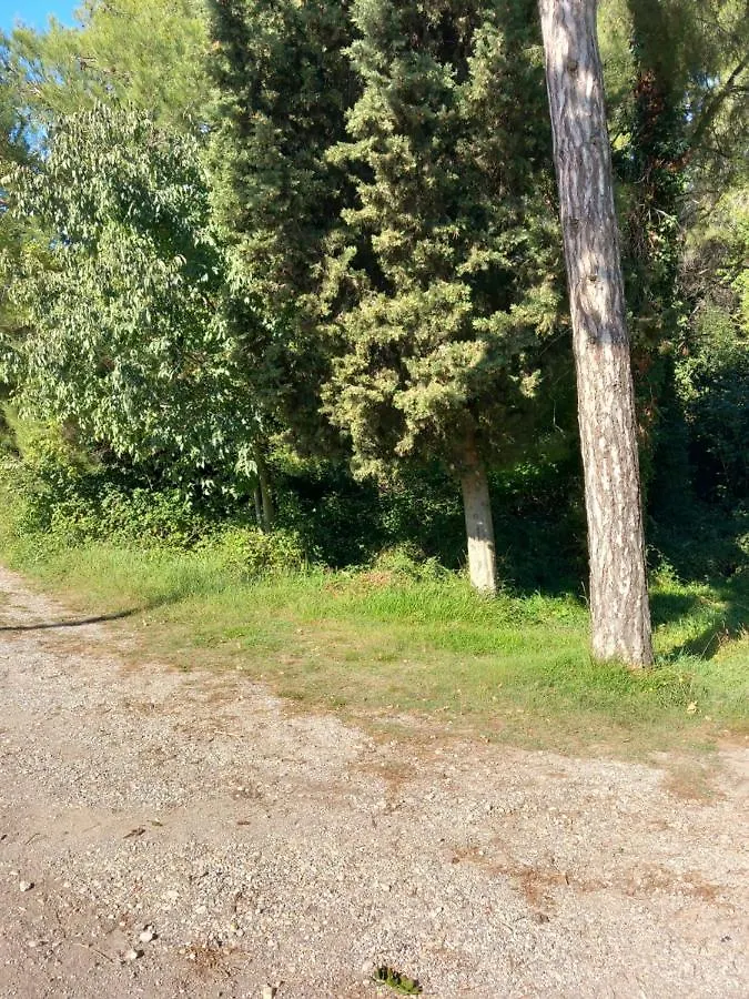 Apartmán Apartmani Alma Pula