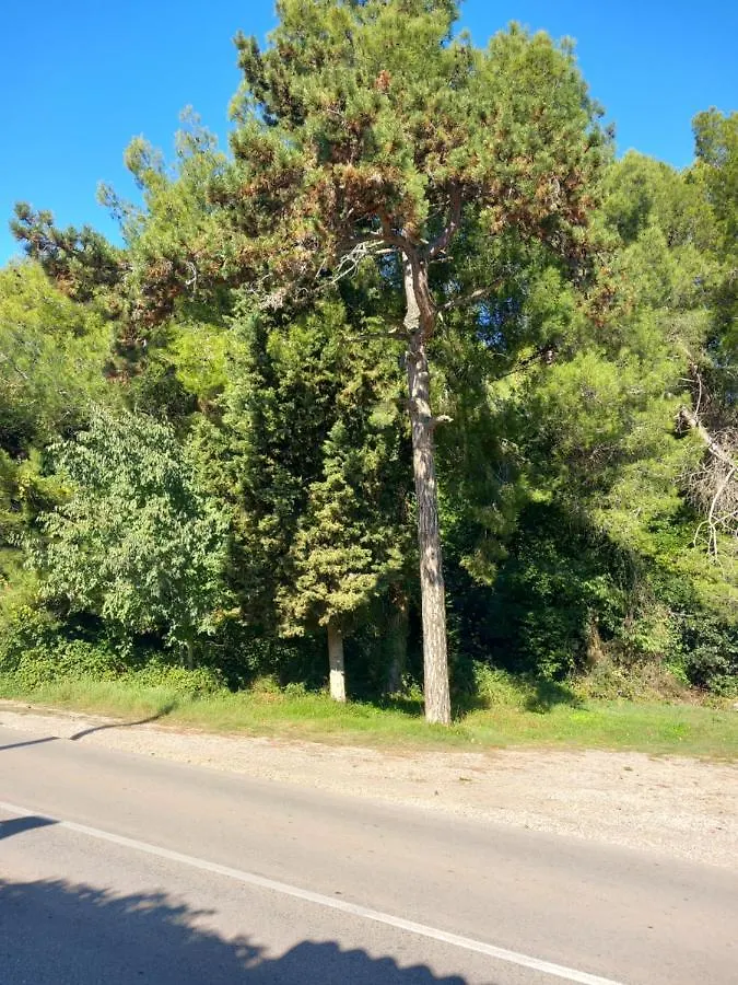 Apartmani Alma Pula Appartement