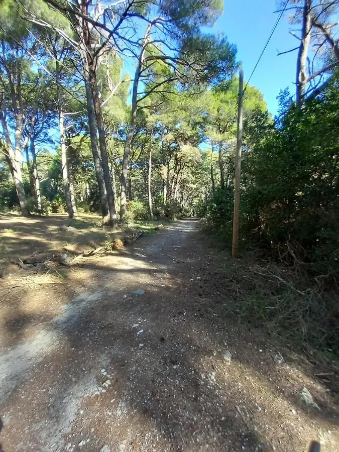 Apartmani Alma Pola