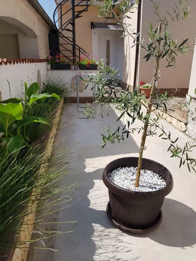 Apartmani Alma Pula